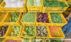 学校食物平安溯源平台